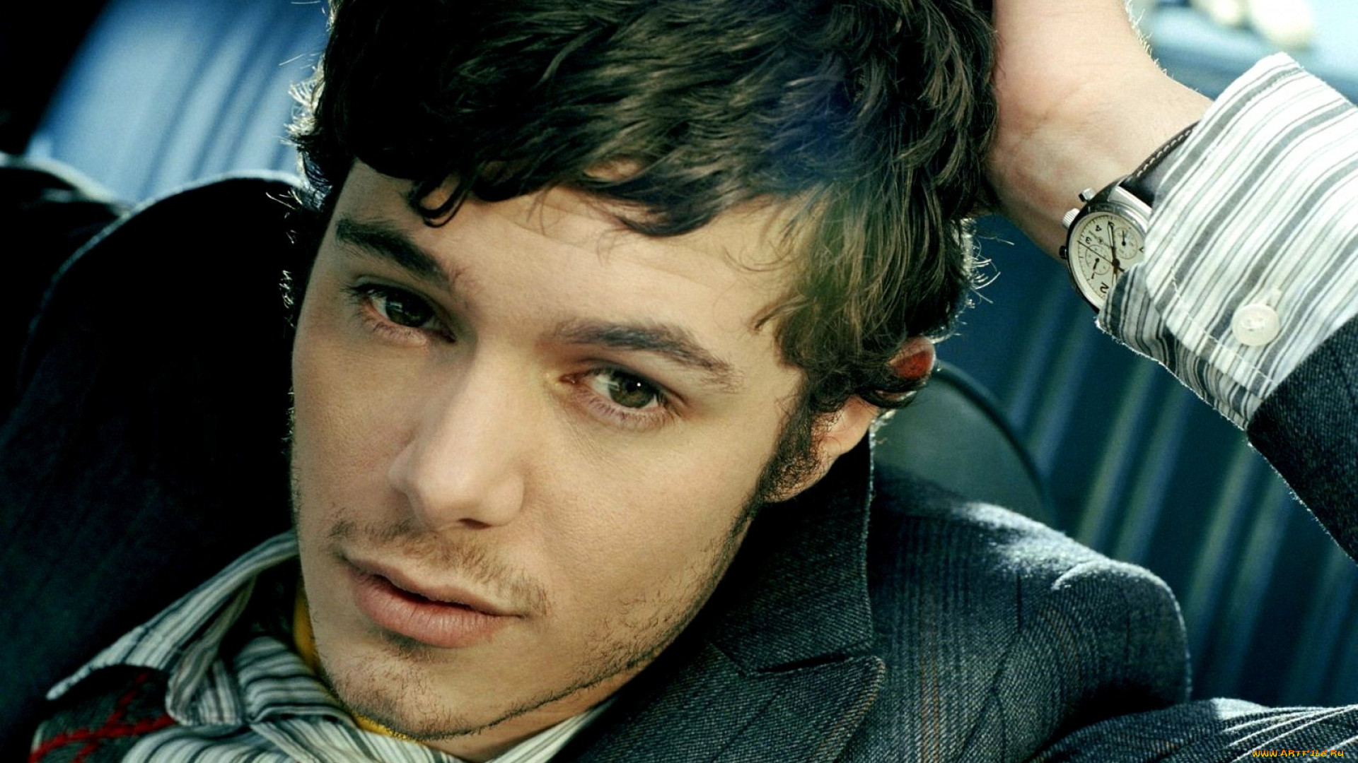 , adam brody, , 